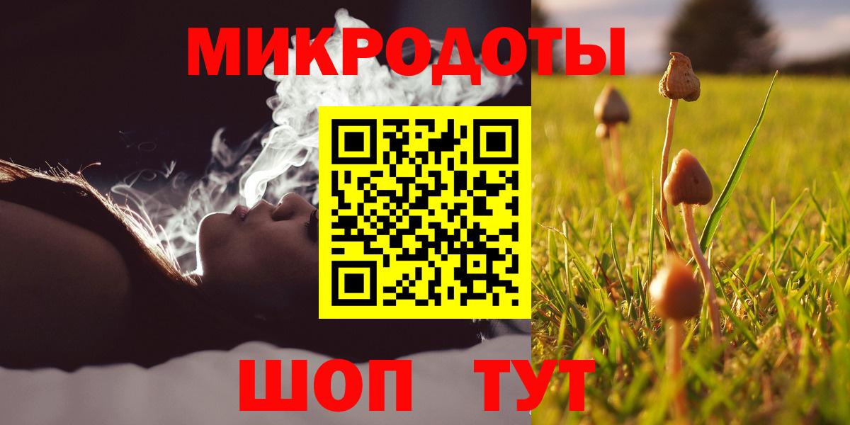 Псилоцибиновые грибы Psilocybine cubensis Кемерово